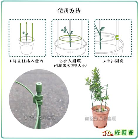 植物攀藤架